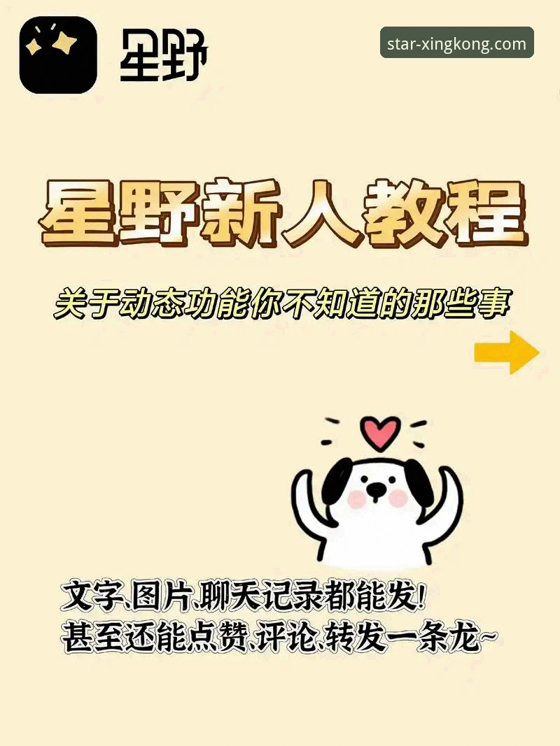 星空入口平台实用指南：解锁官方渠道，开启创新探索之旅